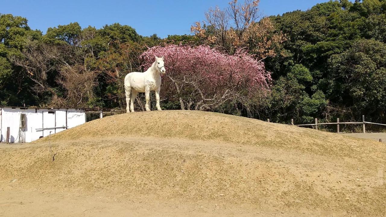 איסה 海辺のゲストハウスーぽかぽか村ー מראה חיצוני תמונה